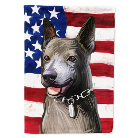 Carolines Treasures Taiwan Dog American Canvas House Flag - 28 x 0.01 x 40 in. CK6733CHF
